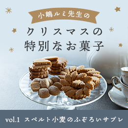 小嶋ルミ先生のクリスマスの特別なお菓子Vol1