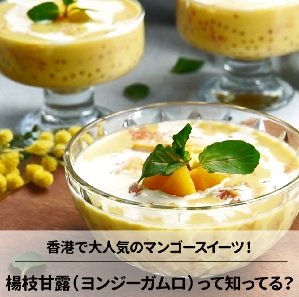 マンゴーのフルーツスープ☆楊枝甘露(ヨンジーガムロ)