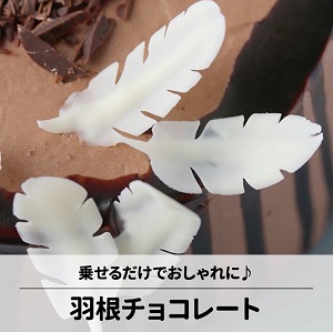 羽根チョコレート