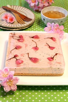 なめらか〜桜の春レアチーズケーキ