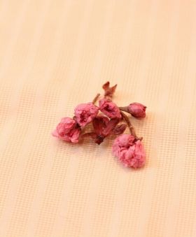 塩漬け桜の咲かせ方 きょうこcafe お菓子 パンのレシピや作り方 Cotta コッタ