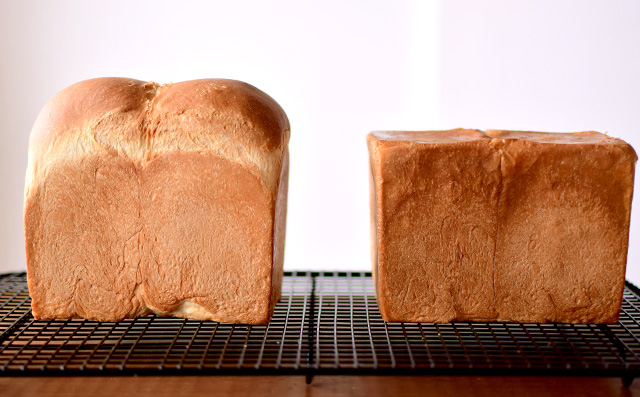 山型食パンと角型食パン、焼き比べ | cotta column