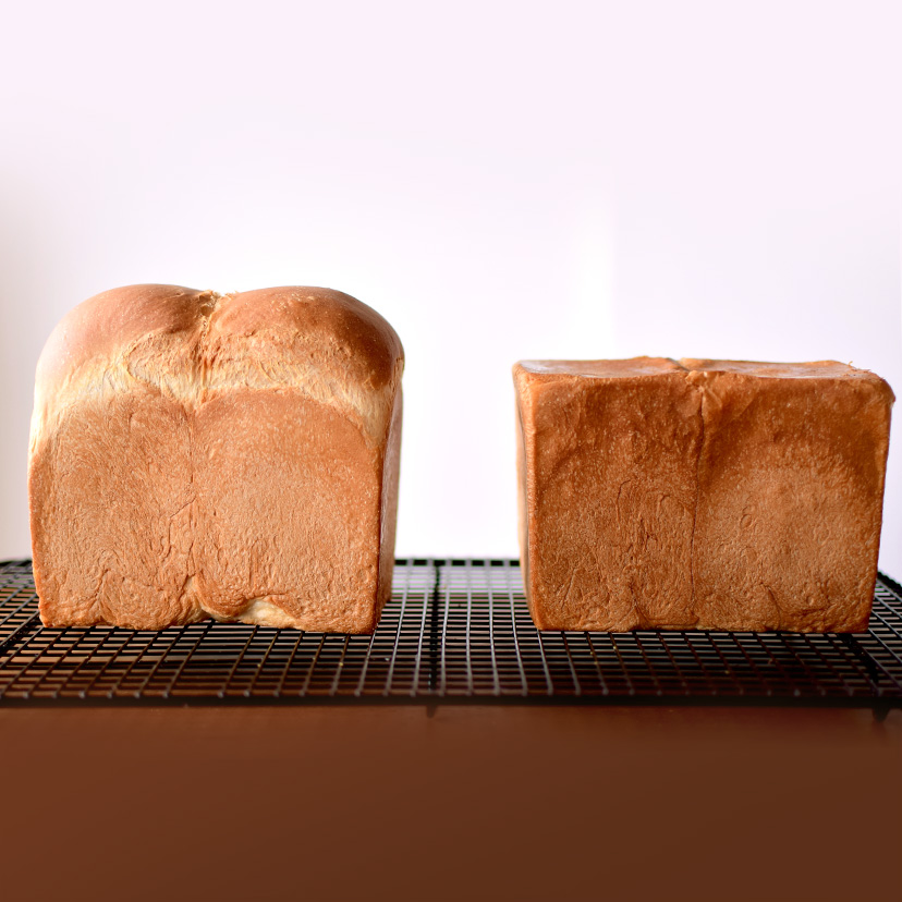 山型食パンと角型食パン、焼き比べ | cotta column