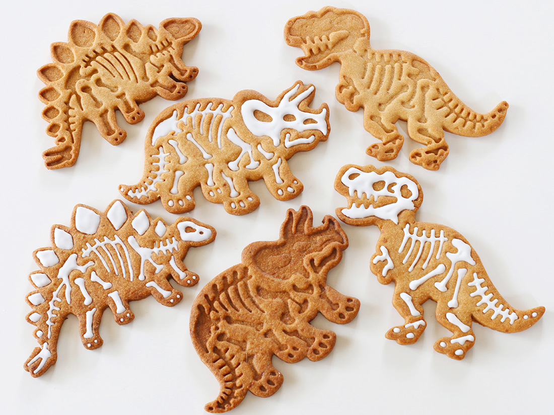 恐竜の化石クッキー型 3個セット 動物・虫・魚のクッキー型 お菓子・パン材料・ラッピングの通販【cotta＊コッタ】