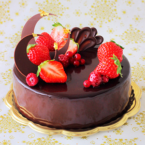 最高の動物画像 トップ100 可愛い チョコレートケーキ デコレーション