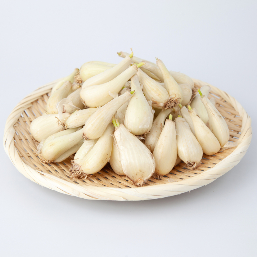 らっきょうの効能｜栄養成分や効果的な食べ方・1日の適量を解説