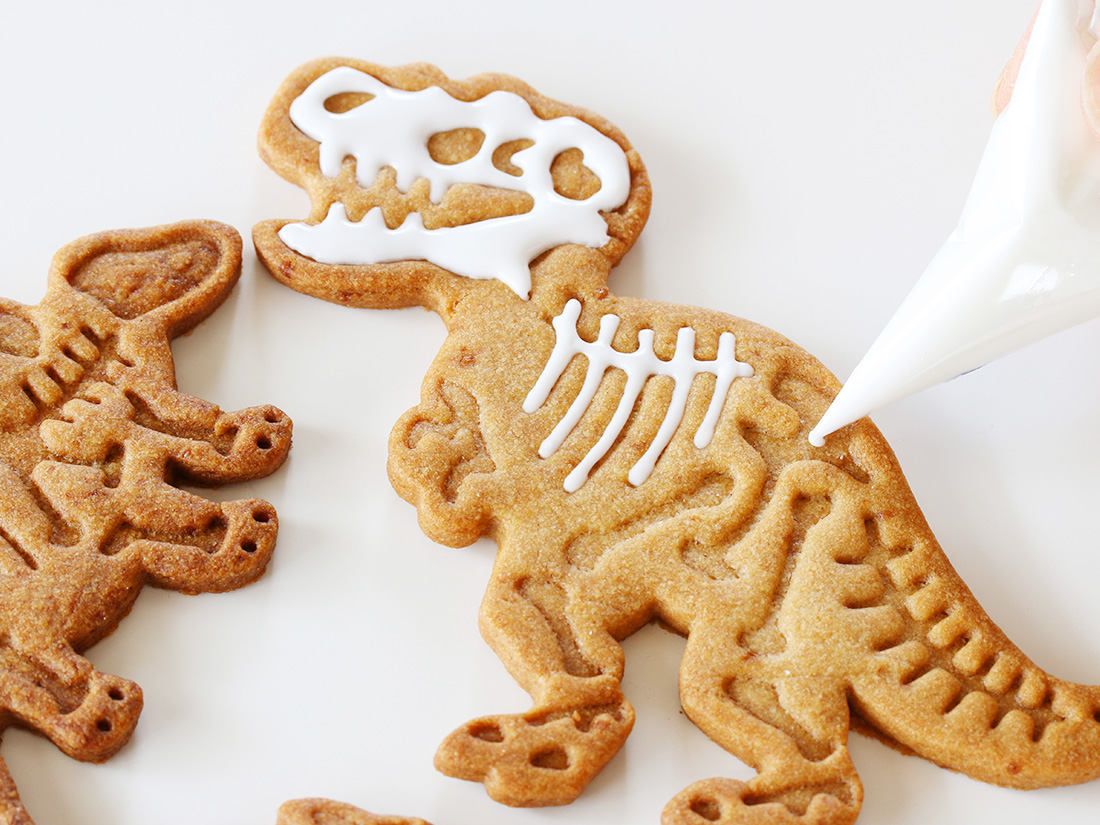 恐竜の化石クッキー型 3個セット | 動物・虫・魚のクッキー型 | お菓子