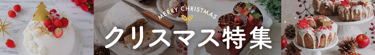 cotta クリスマスシリコンモールド(プレート) | チョコレート型